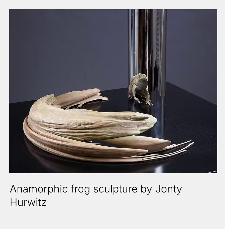 Anamorphic frog sculpture by Jonty Hurwitz